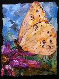 butterfly collage eileen downes 20th Street Art Gallery